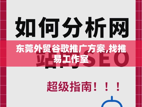 东莞外贸谷歌推广方案,找推易工作室