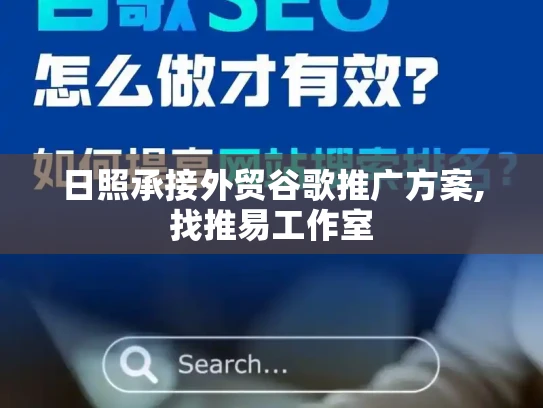 日照承接外贸谷歌推广方案,找推易工作室