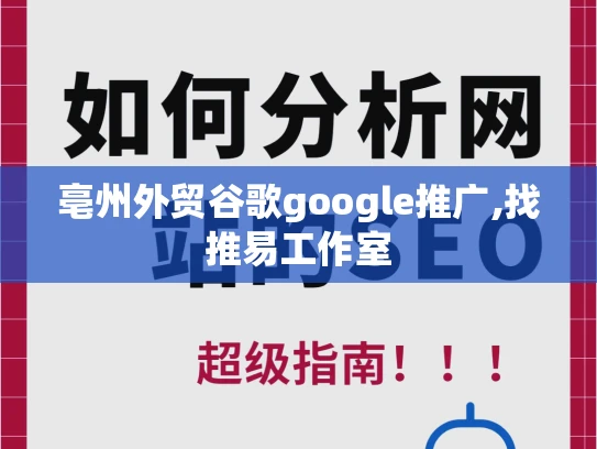 亳州外贸谷歌google推广,找推易工作室