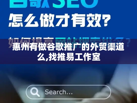 惠州有做谷歌推广的外贸渠道么,找推易工作室