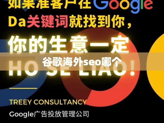 谷歌海外seo哪个 谷歌海外seo哪个