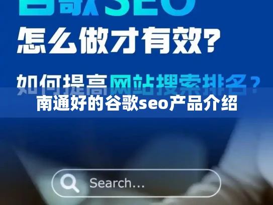 南通好的谷歌seo产品介绍