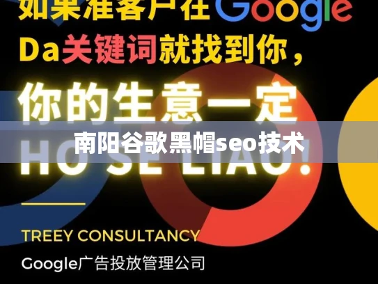 南阳谷歌黑帽seo技术 南阳谷歌黑帽seo技术