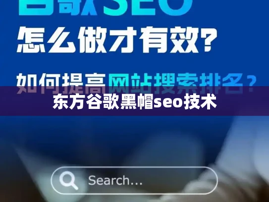 东方谷歌黑帽seo技术 东方谷歌黑帽seo技术