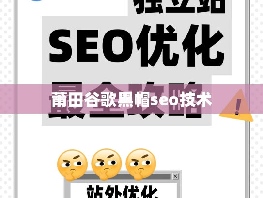 莆田谷歌黑帽seo技术 莆田谷歌黑帽seo技术