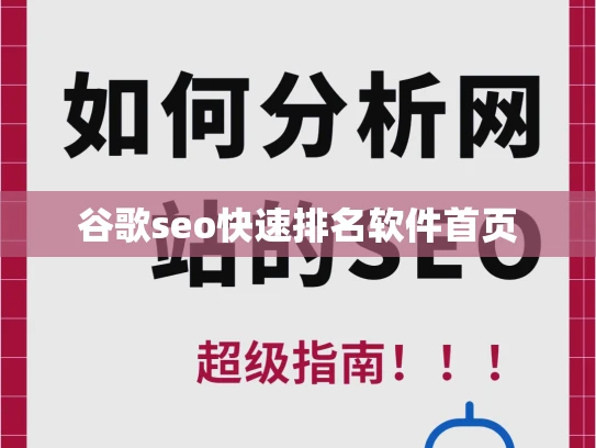 谷歌seo快速排名软件首页
