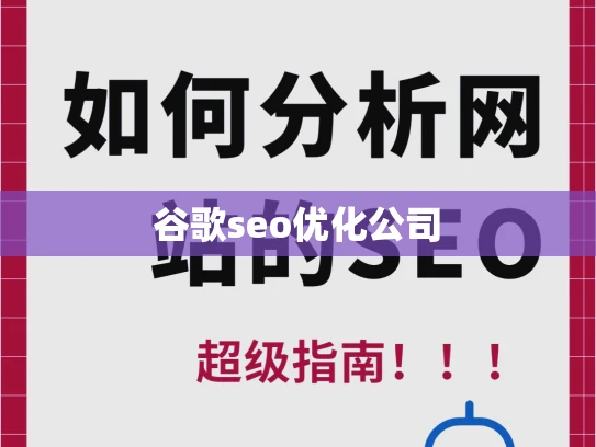 谷歌seo优化公司