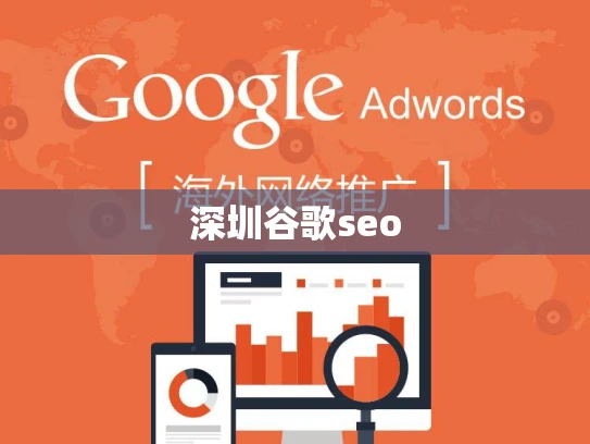 深圳谷歌seo 深圳谷歌seo